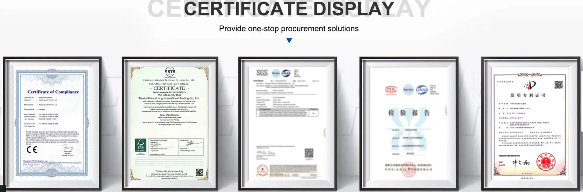 CERTIFICATE DISPLAY