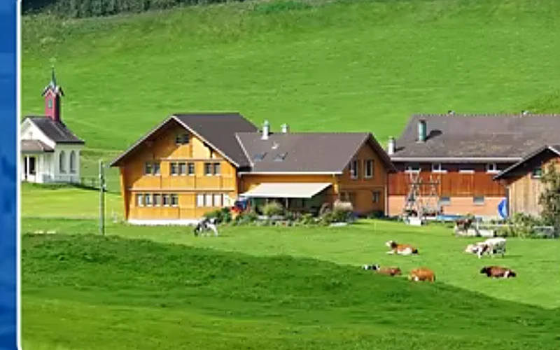 Farm