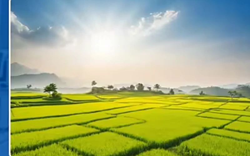 Agricultural & Rural Areas